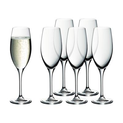EasyPlus Champagne glasses 6pcs.